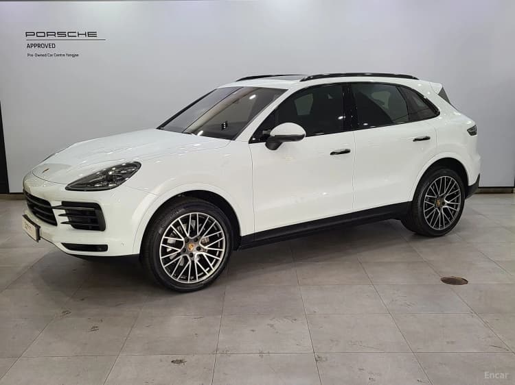 Cayenne (PO536)