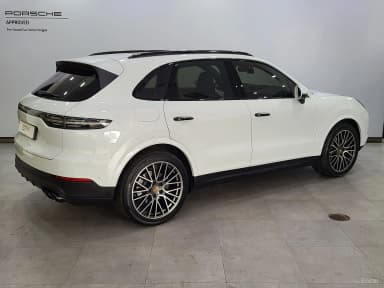 Cayenne (PO536)