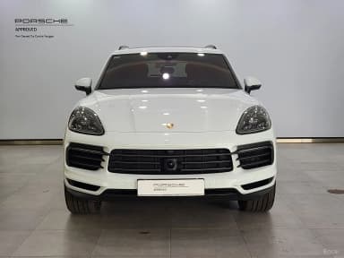 Cayenne (PO536)