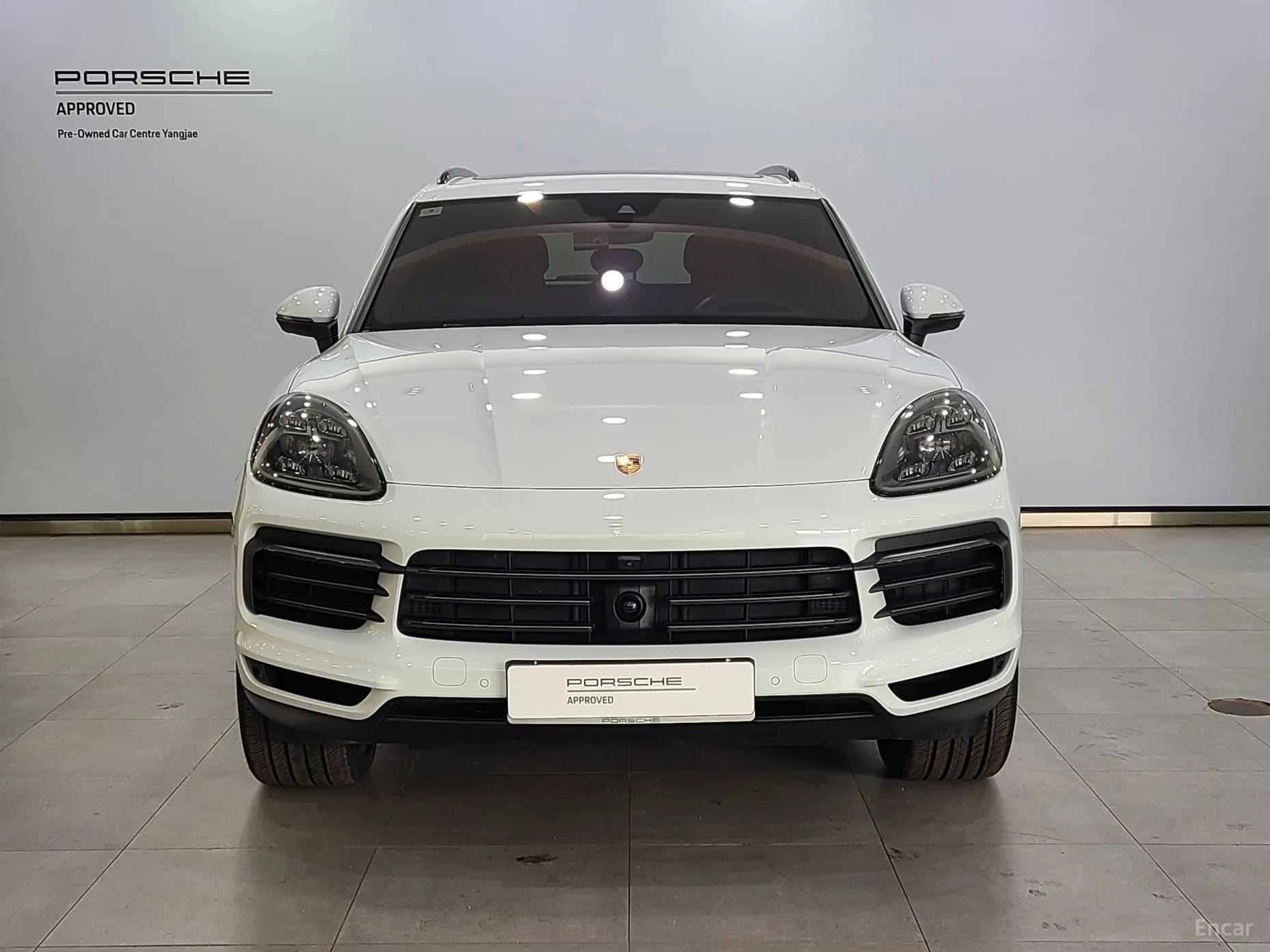 Cayenne (PO536)
