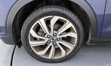 Berry New Tivoli
