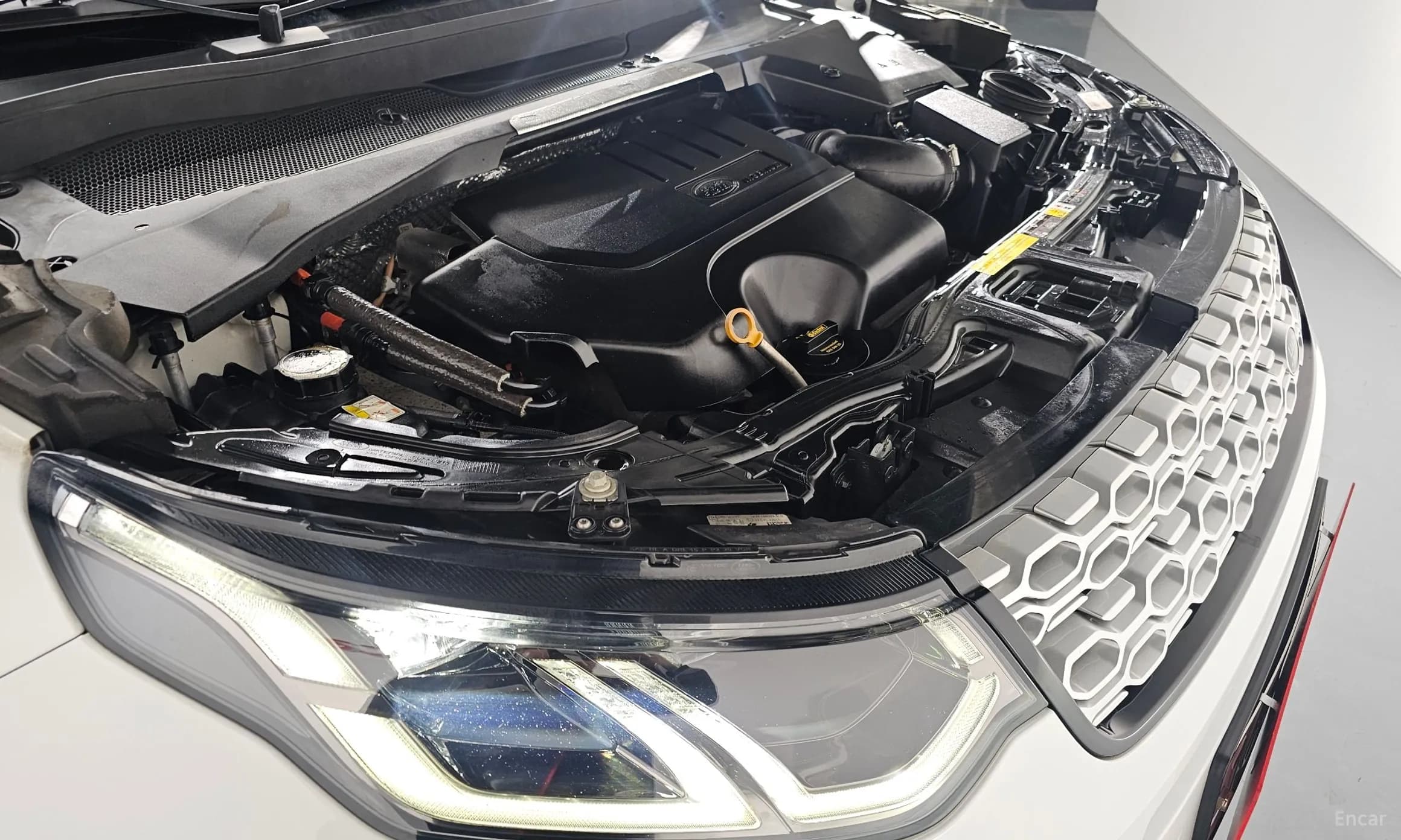 Discovery Sports