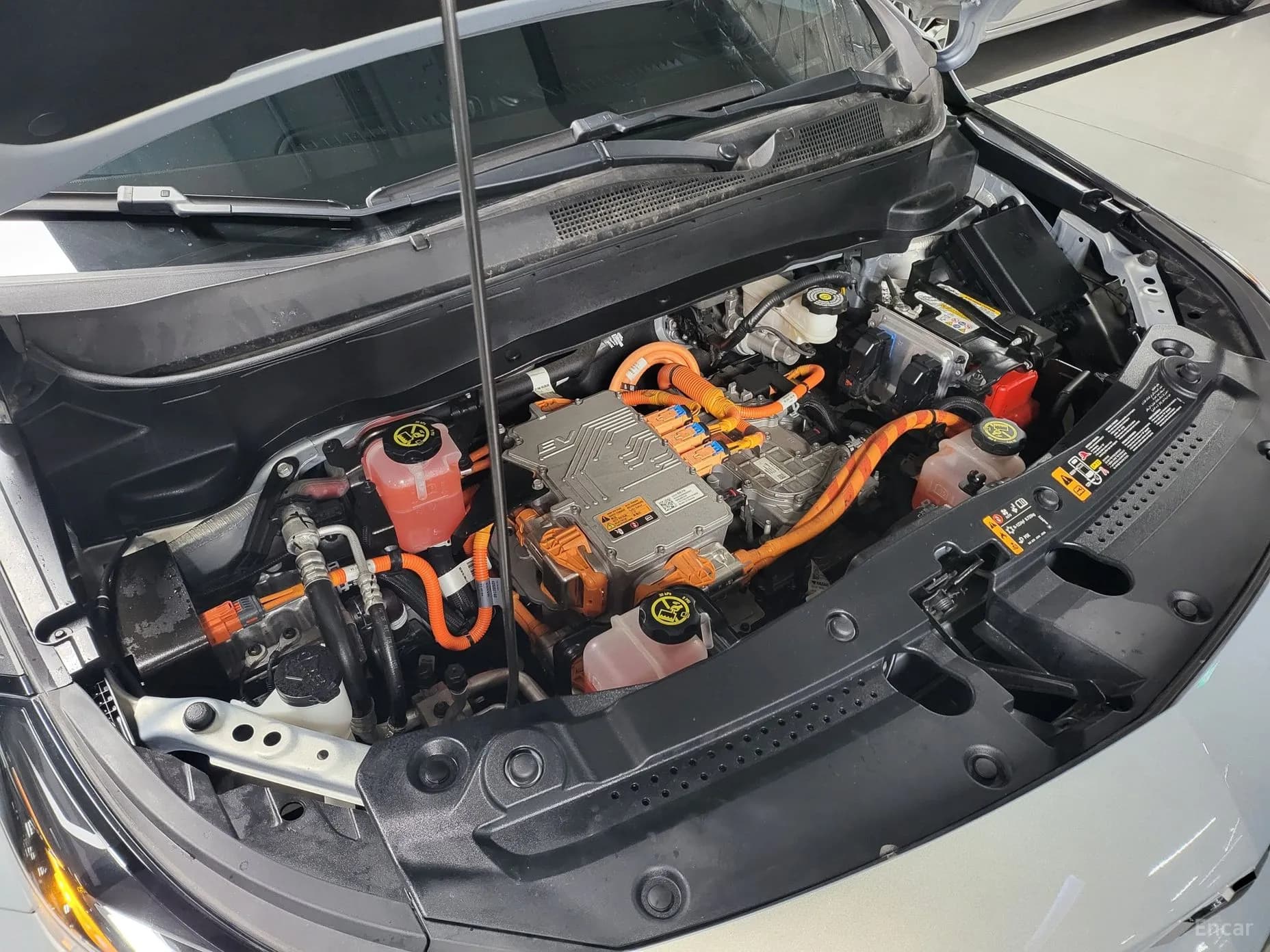 Volt EUV