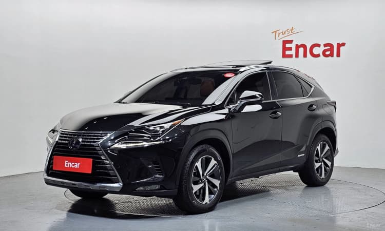 NX300h