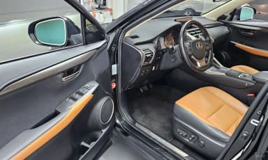 NX300h