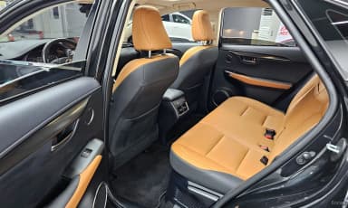 NX300h