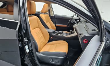 NX300h