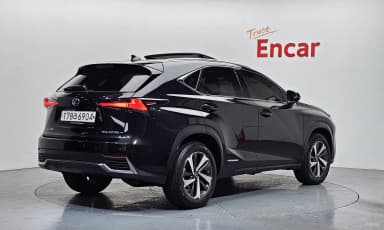 NX300h