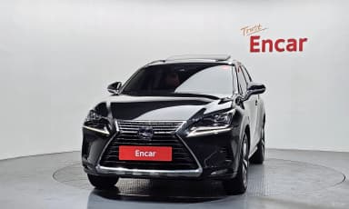 NX300h