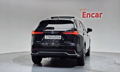 NX300h