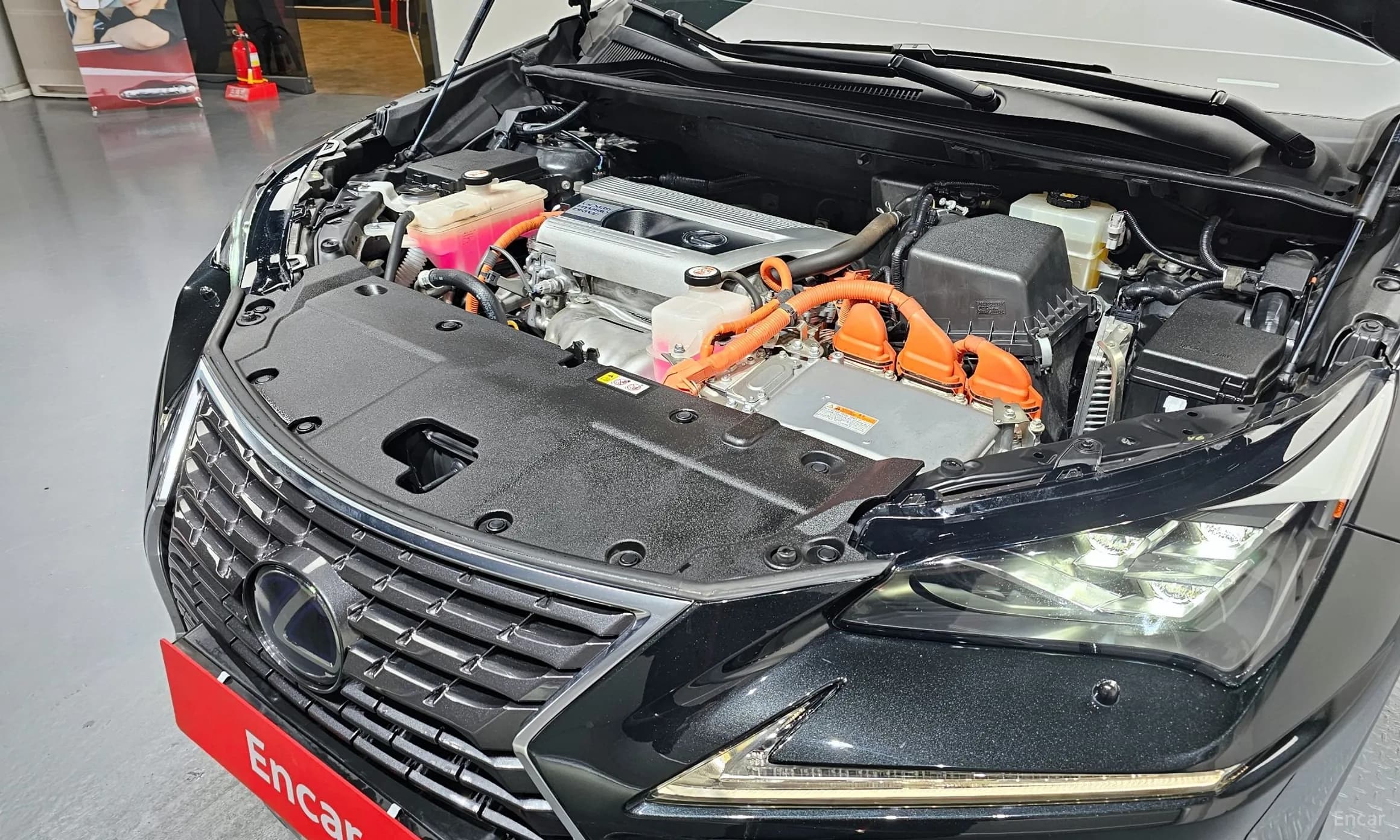 NX300h