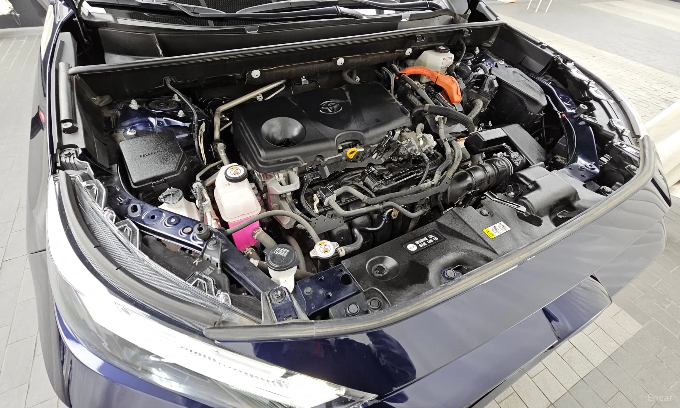 RAV4 5th Generation
