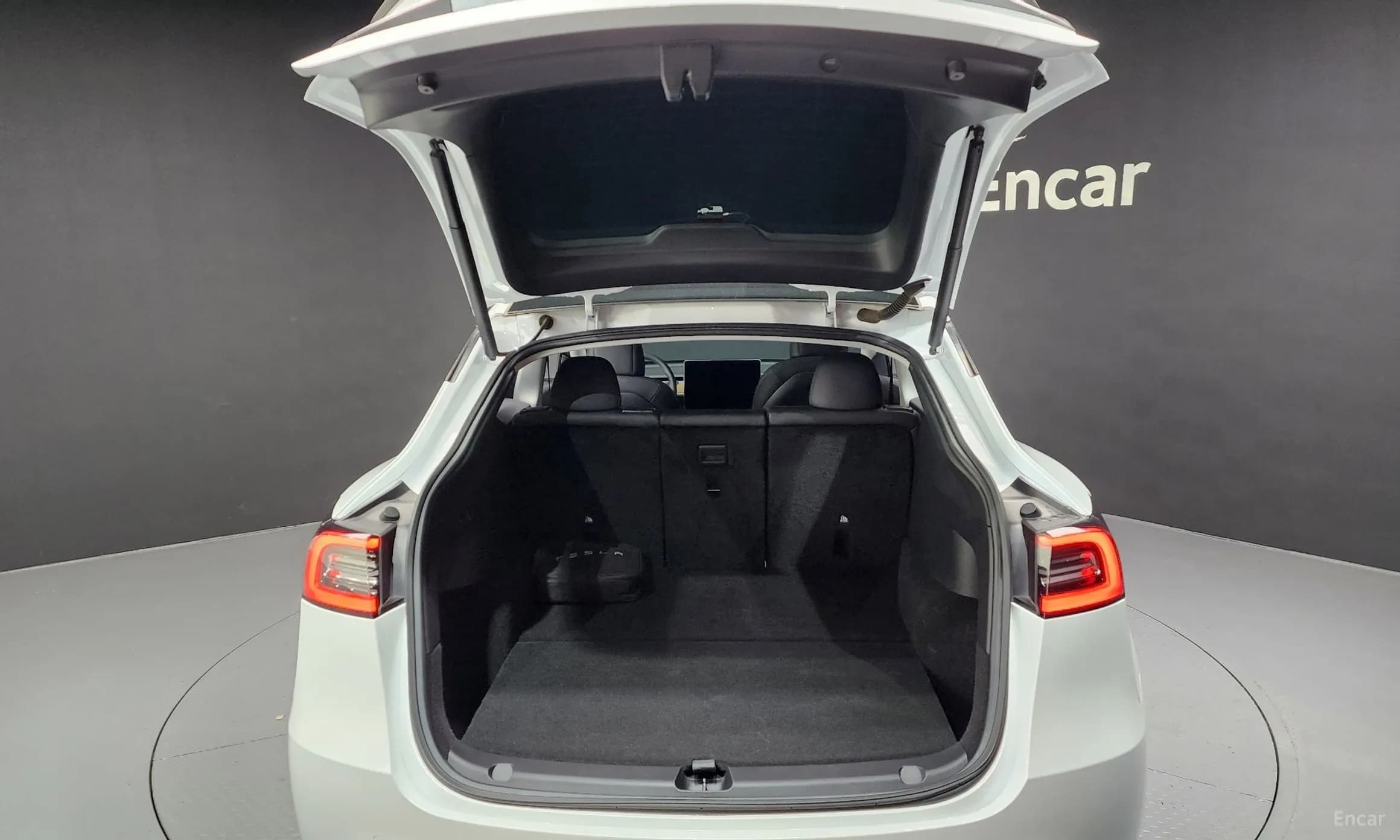 Model Y