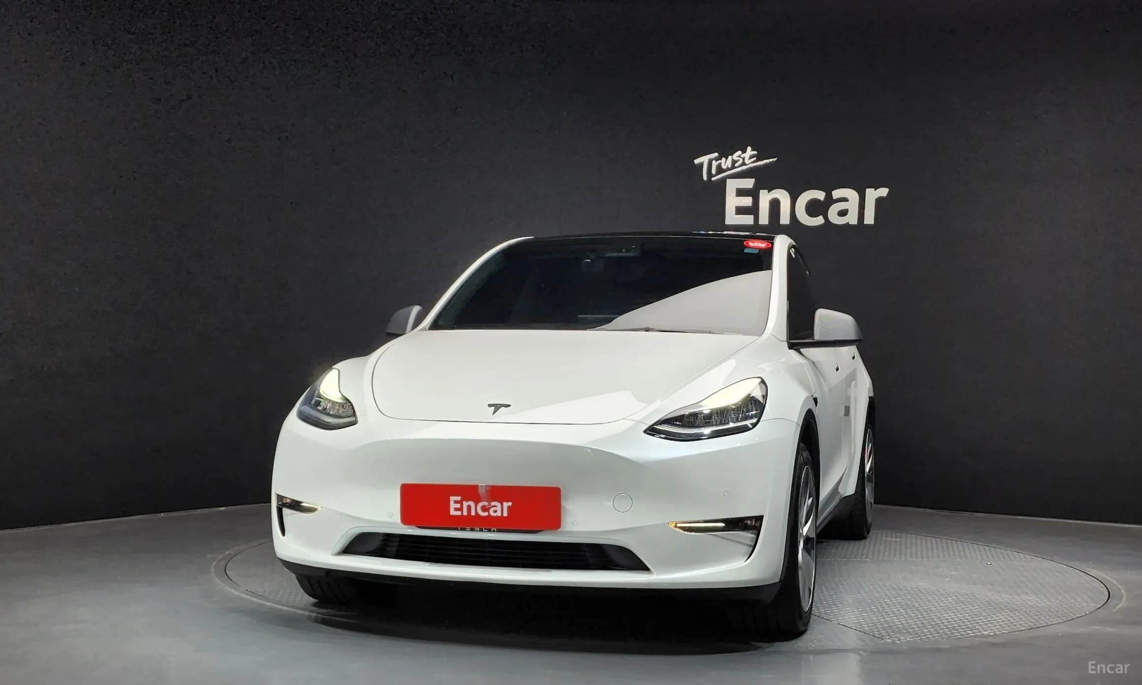 Model Y
