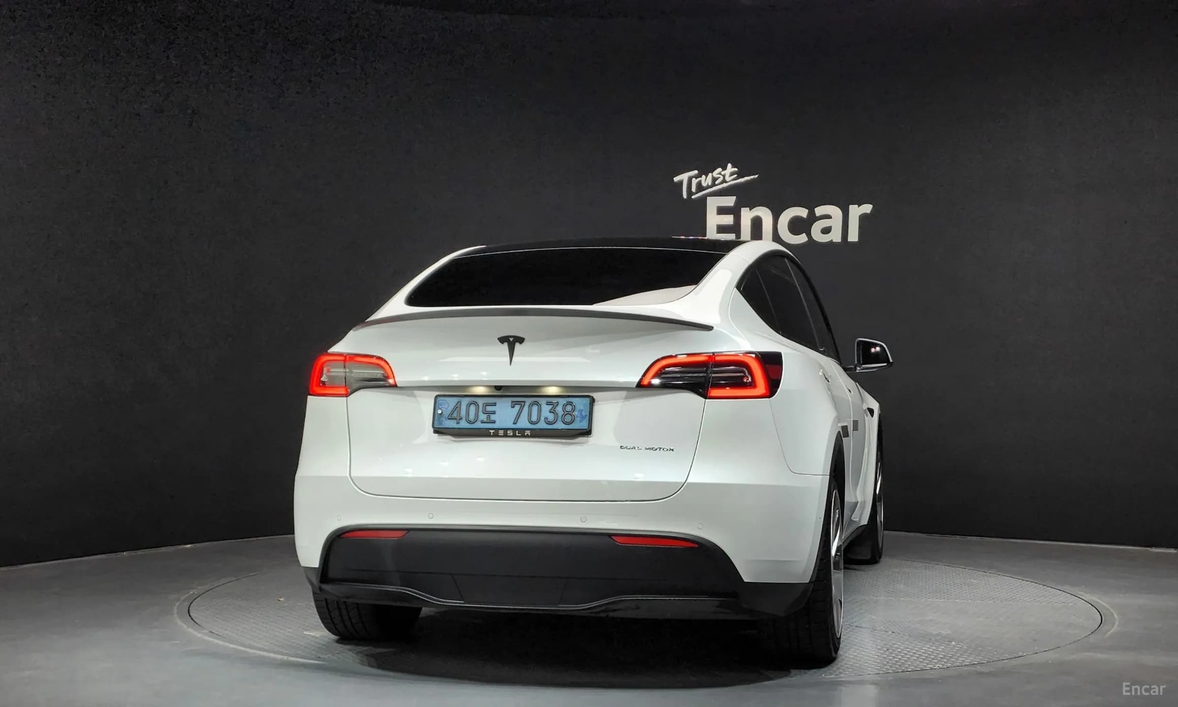 Model Y