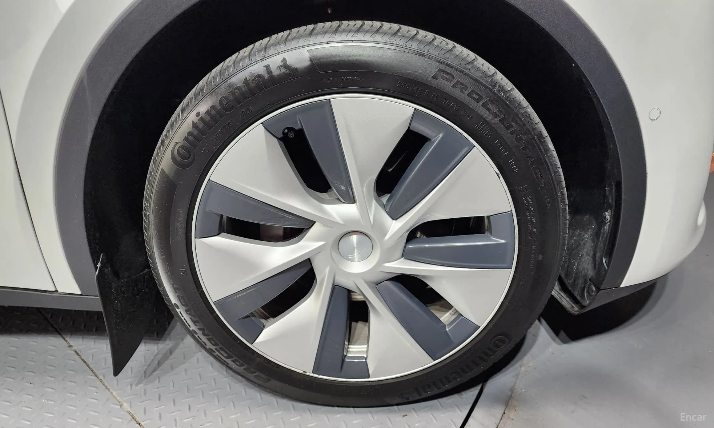 Model Y