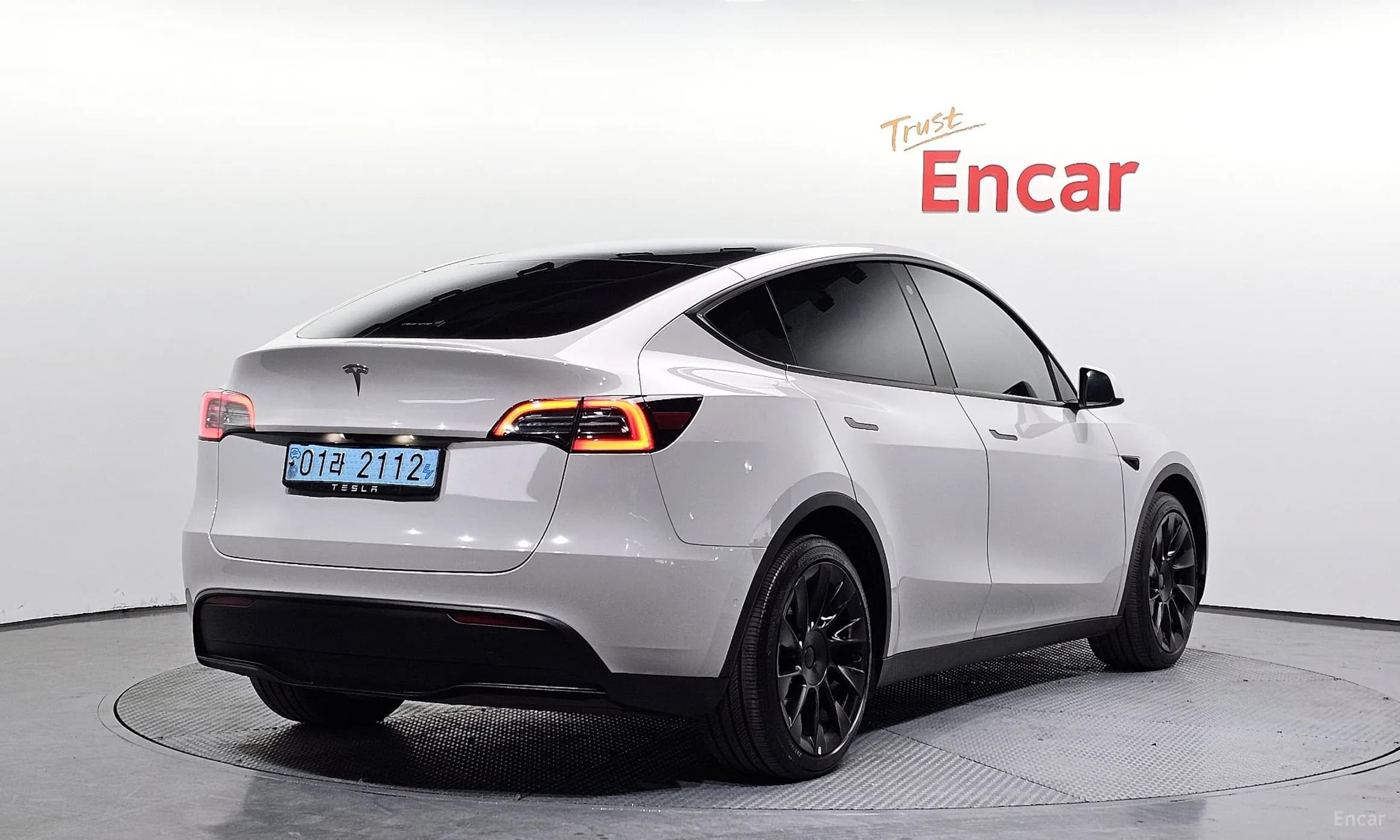Model Y