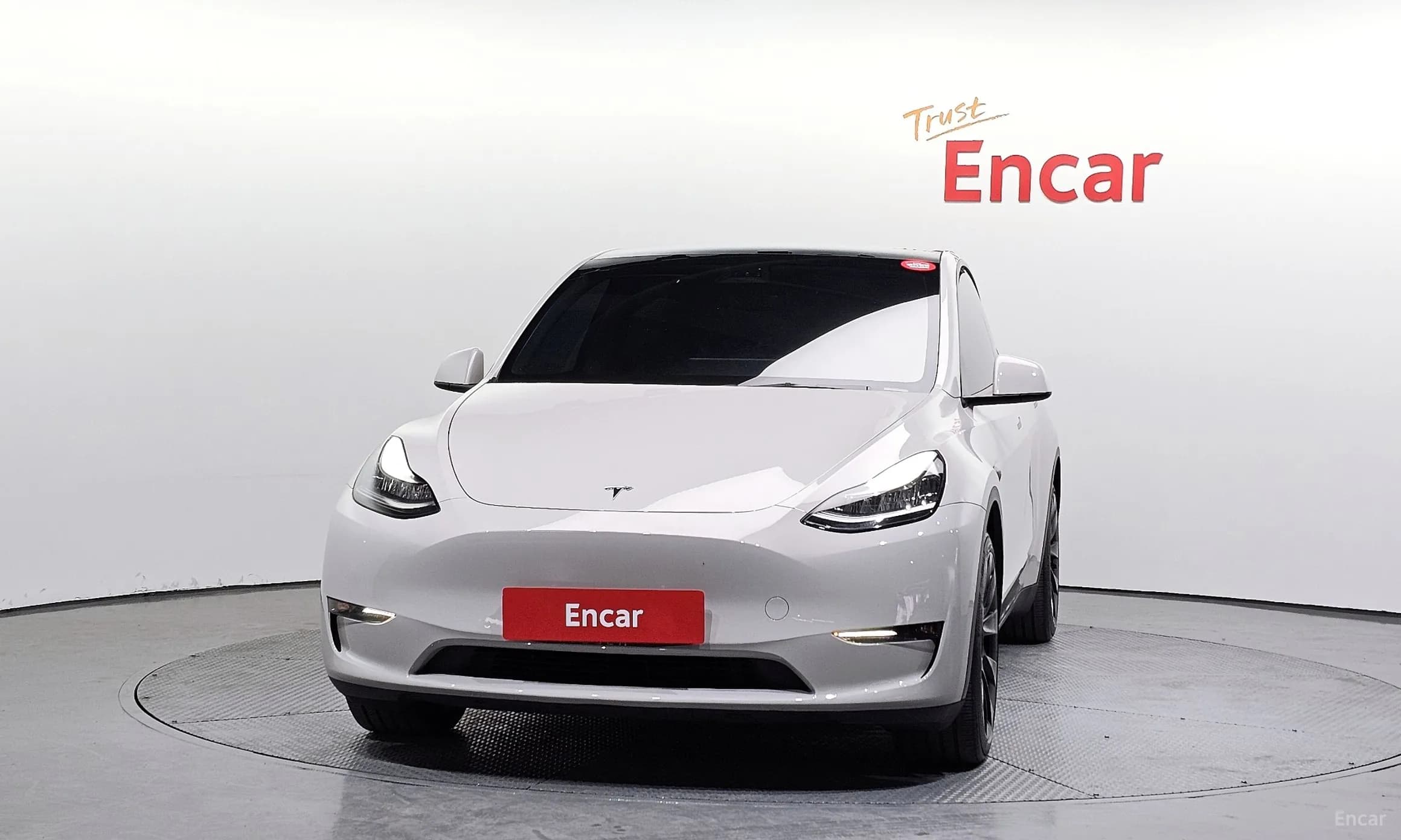 Model Y