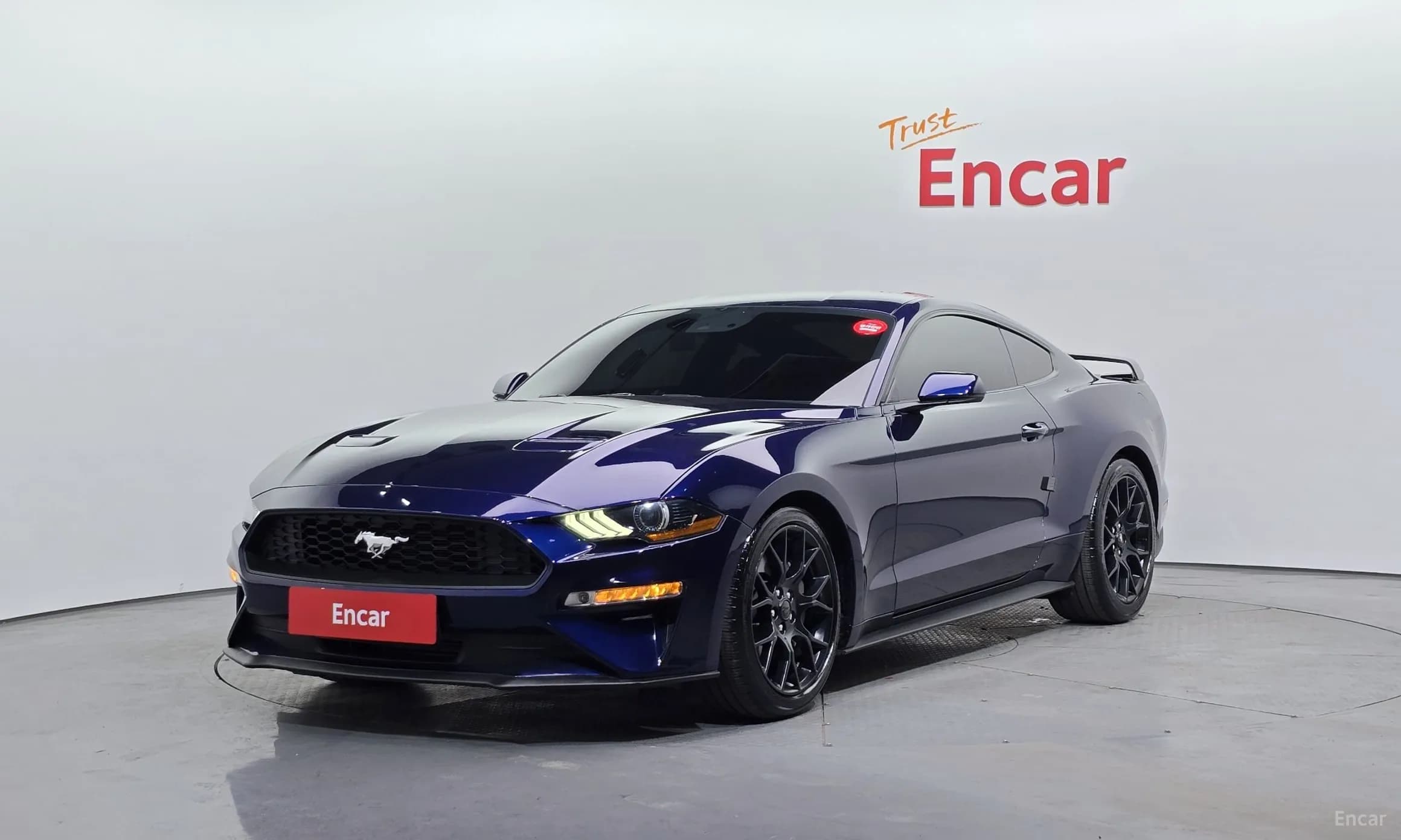 Mustang