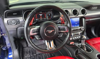Mustang