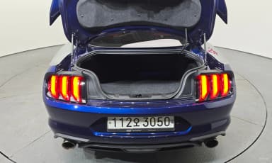Mustang