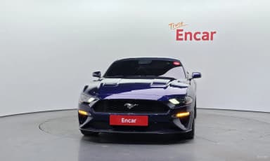 Mustang