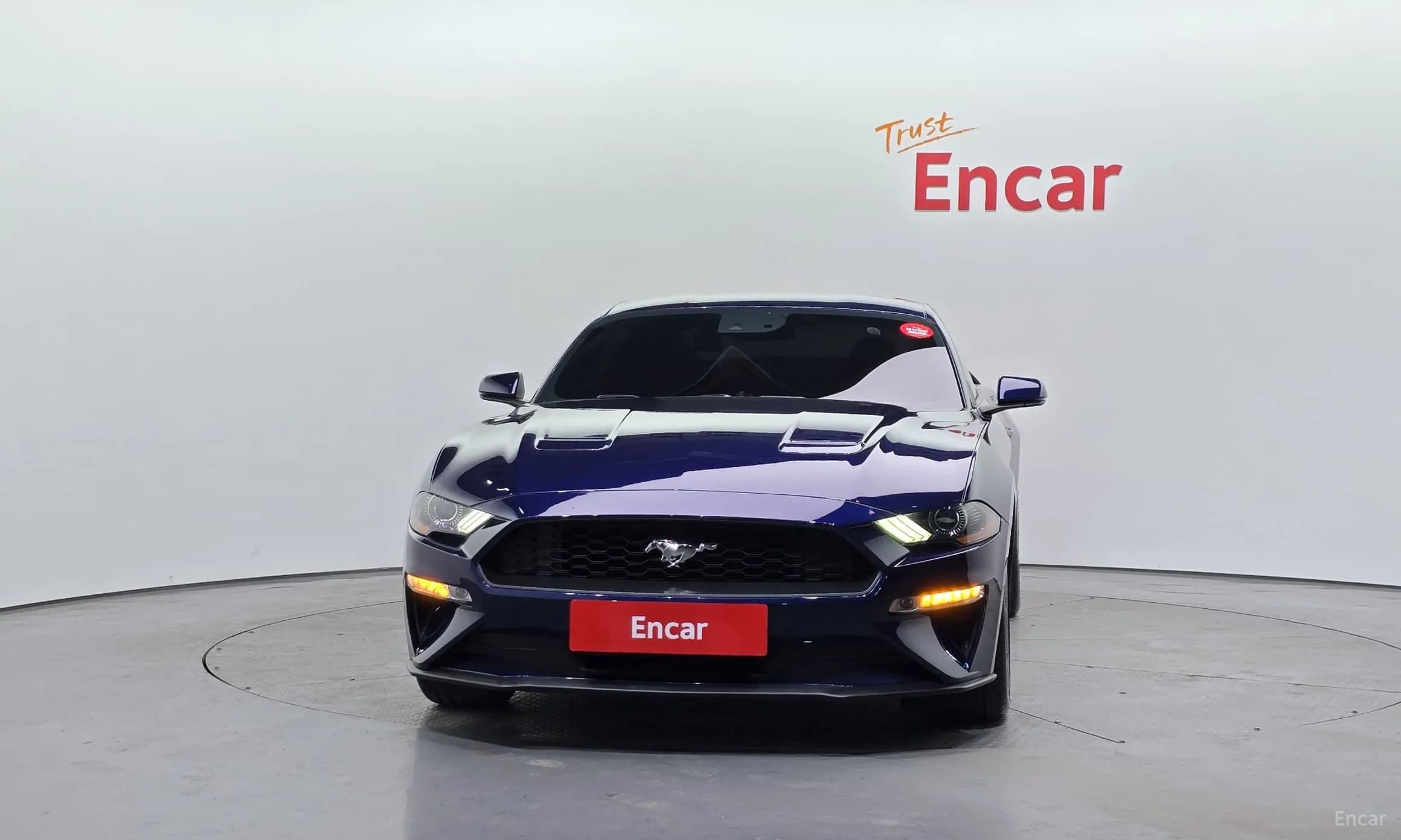 Mustang