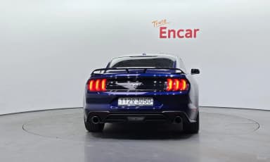 Mustang