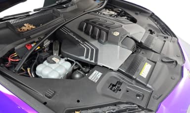 Urus