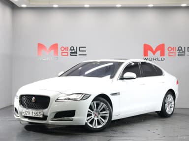 XF (x260)