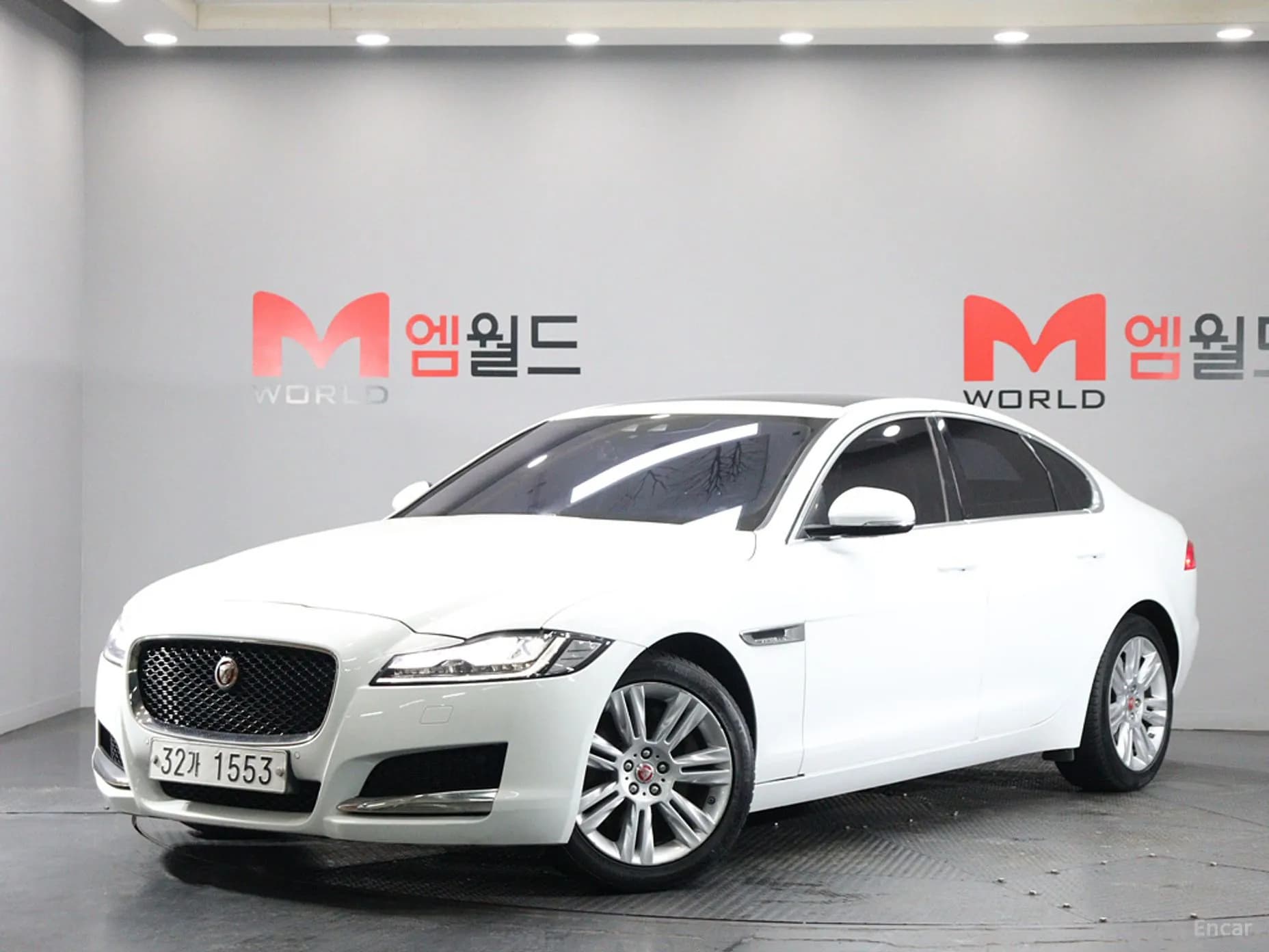 XF (x260)