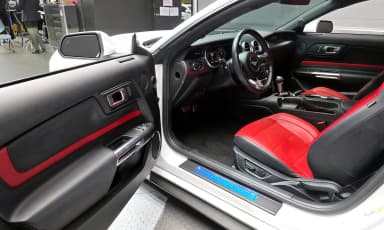 Mustang