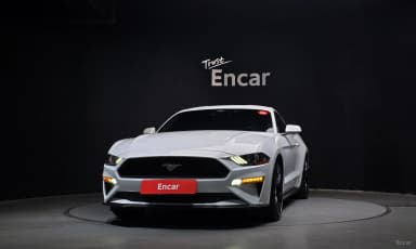 Mustang