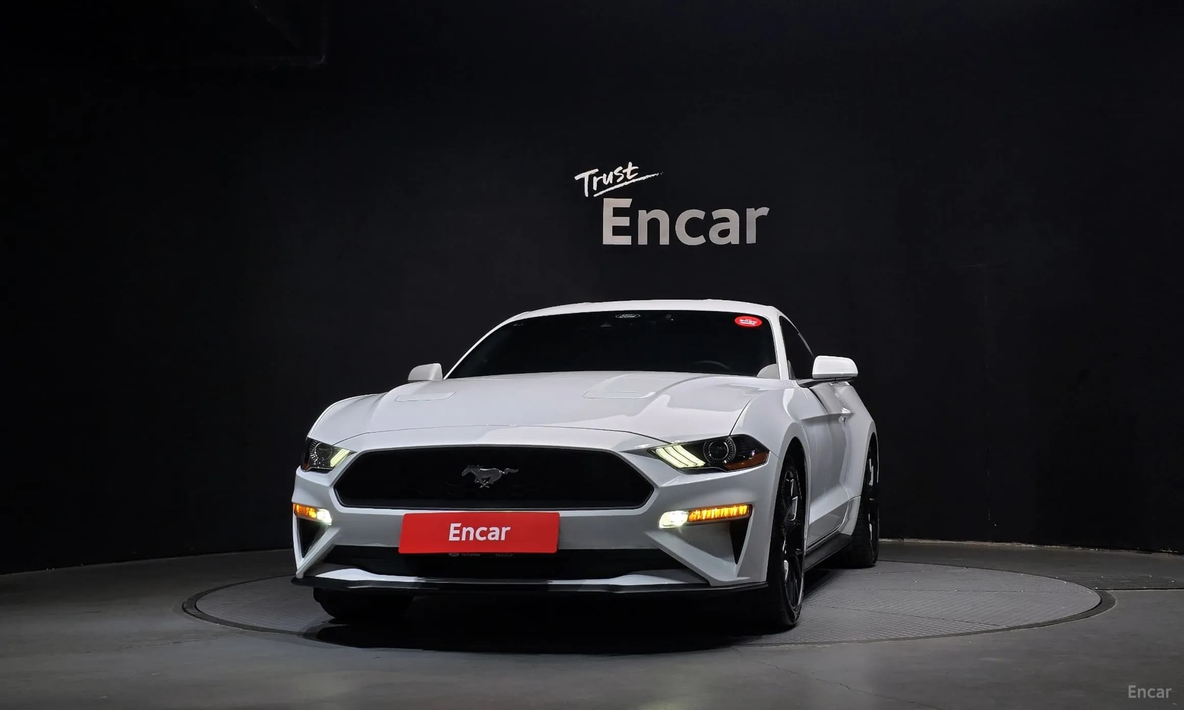 Mustang