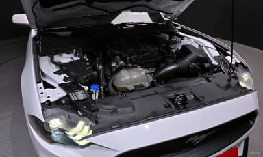 Mustang