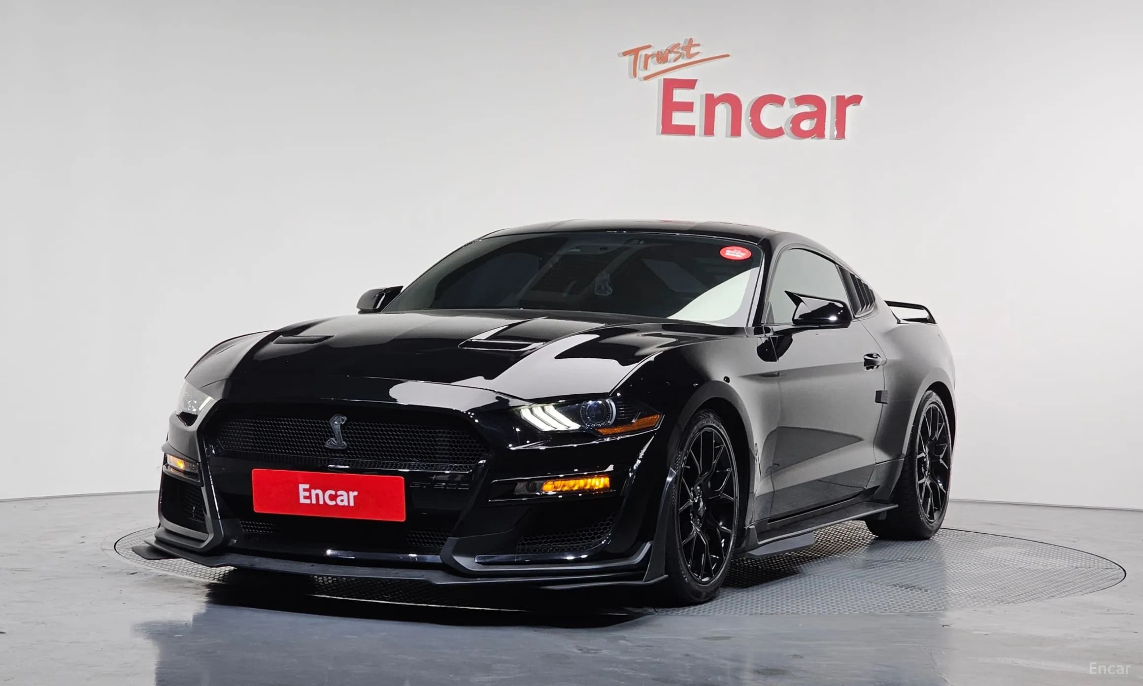 Mustang