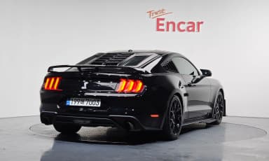 Mustang