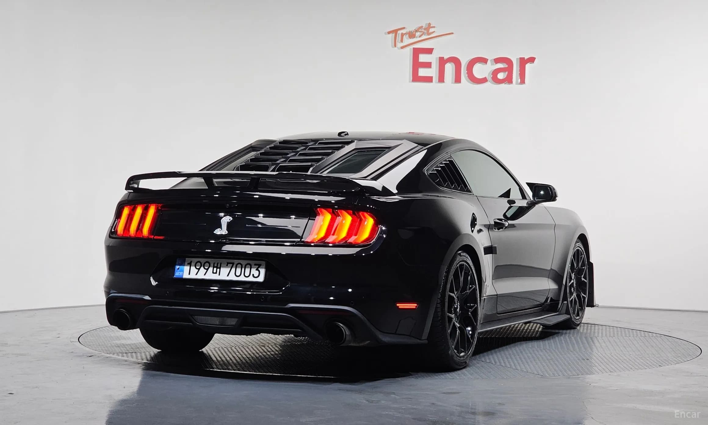 Mustang