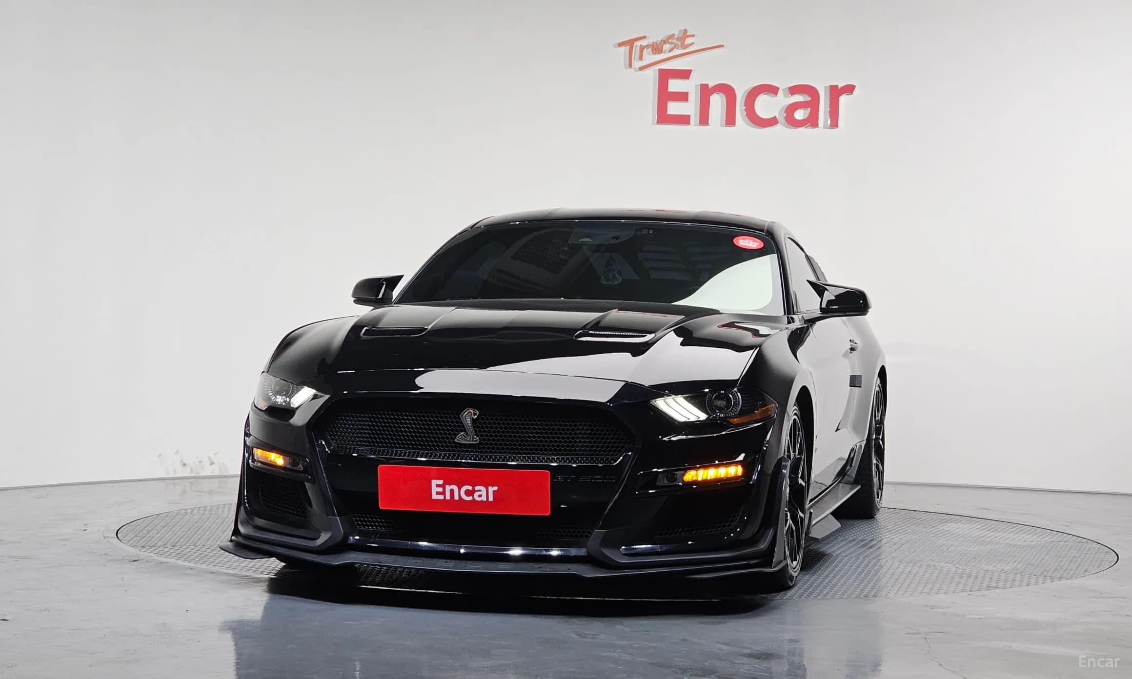 Mustang
