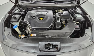 LF Sonata