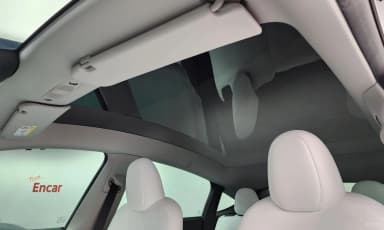 Model Y