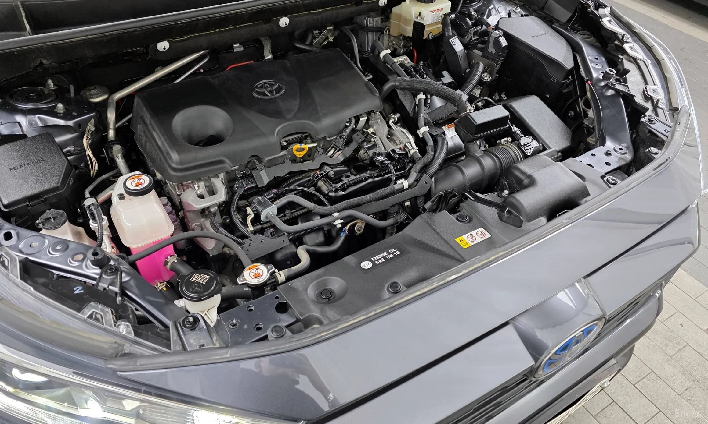 RAV4 5th Generation