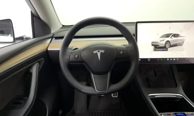 Model Y