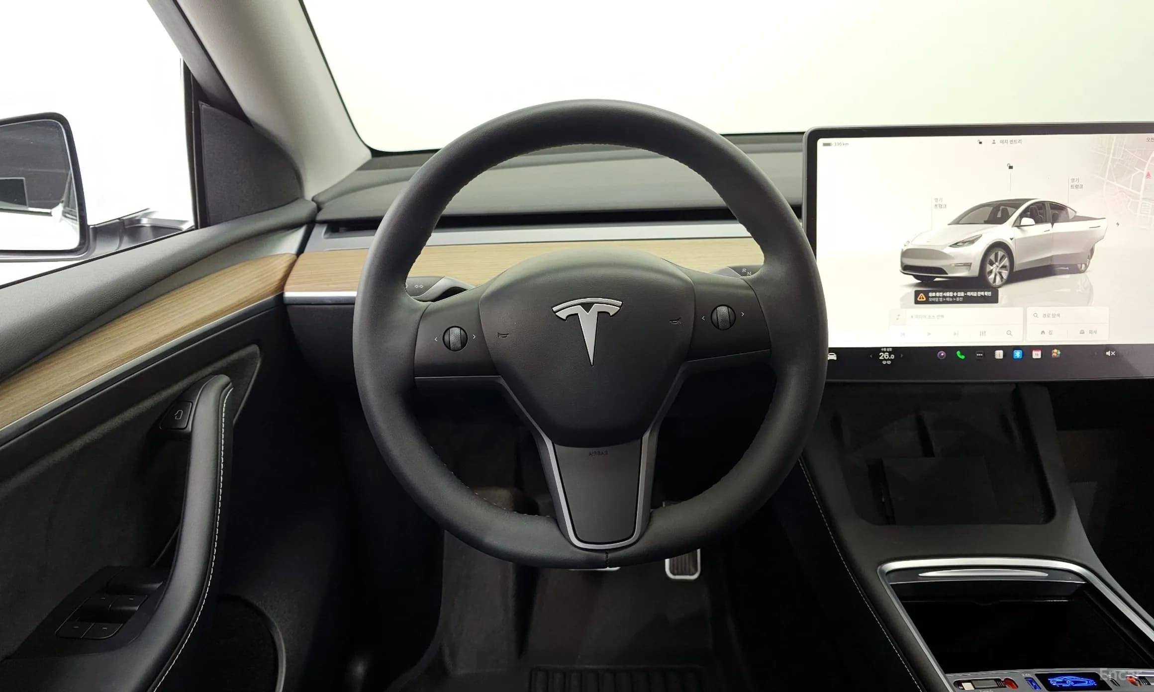 Model Y
