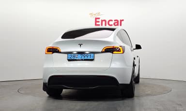 Model Y