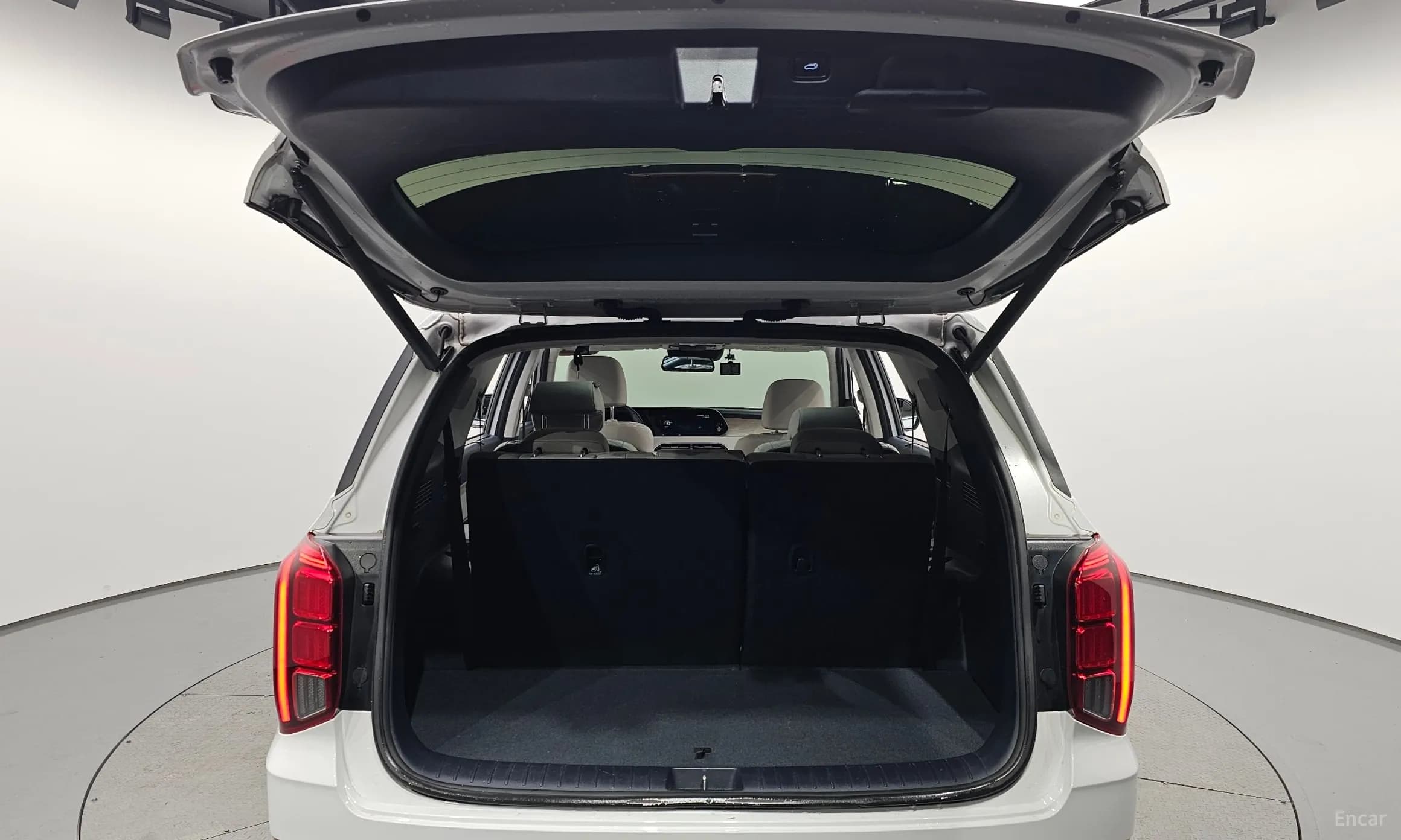 Palisade