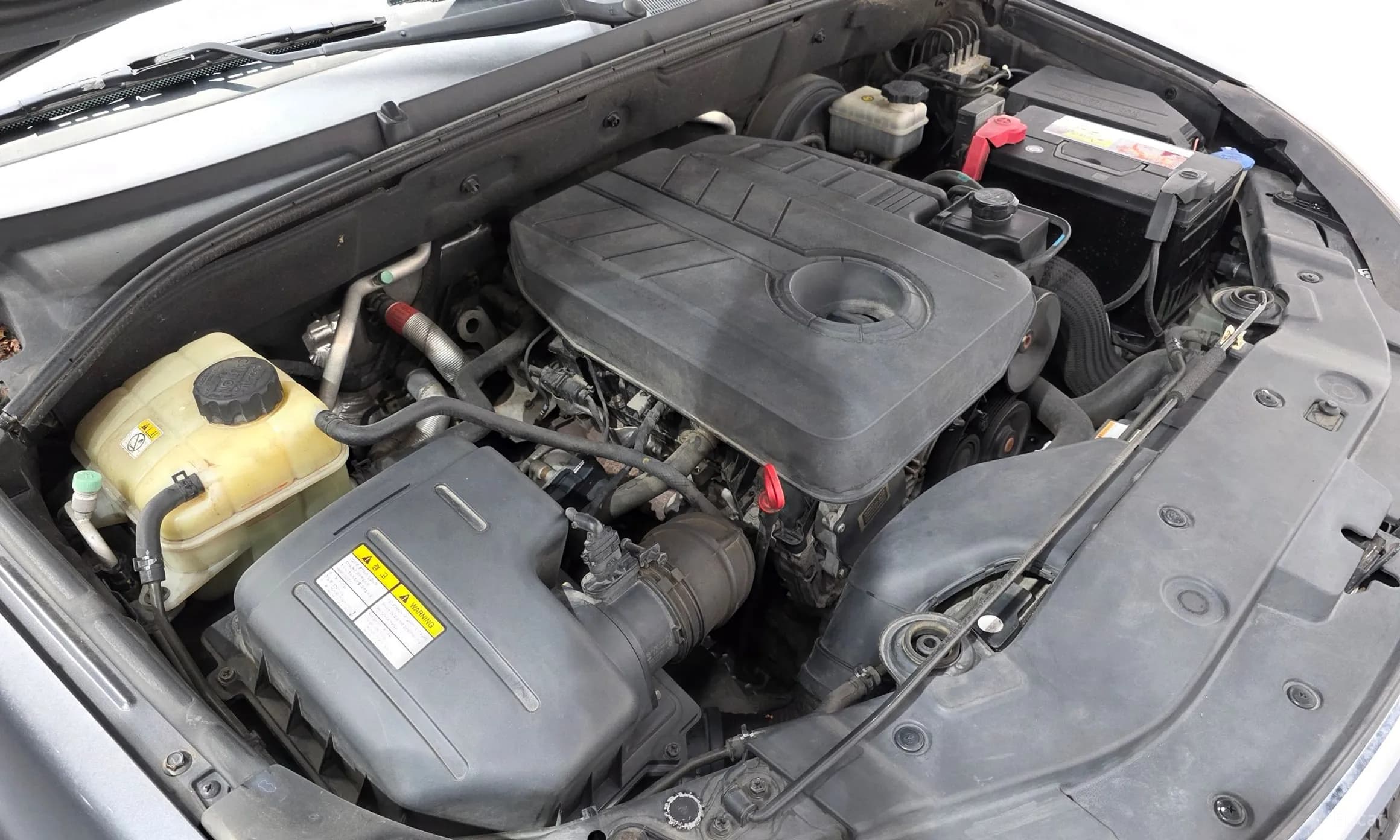 Korando Sports