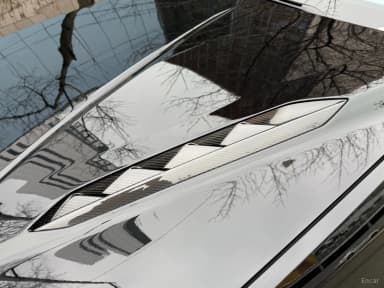 Urus
