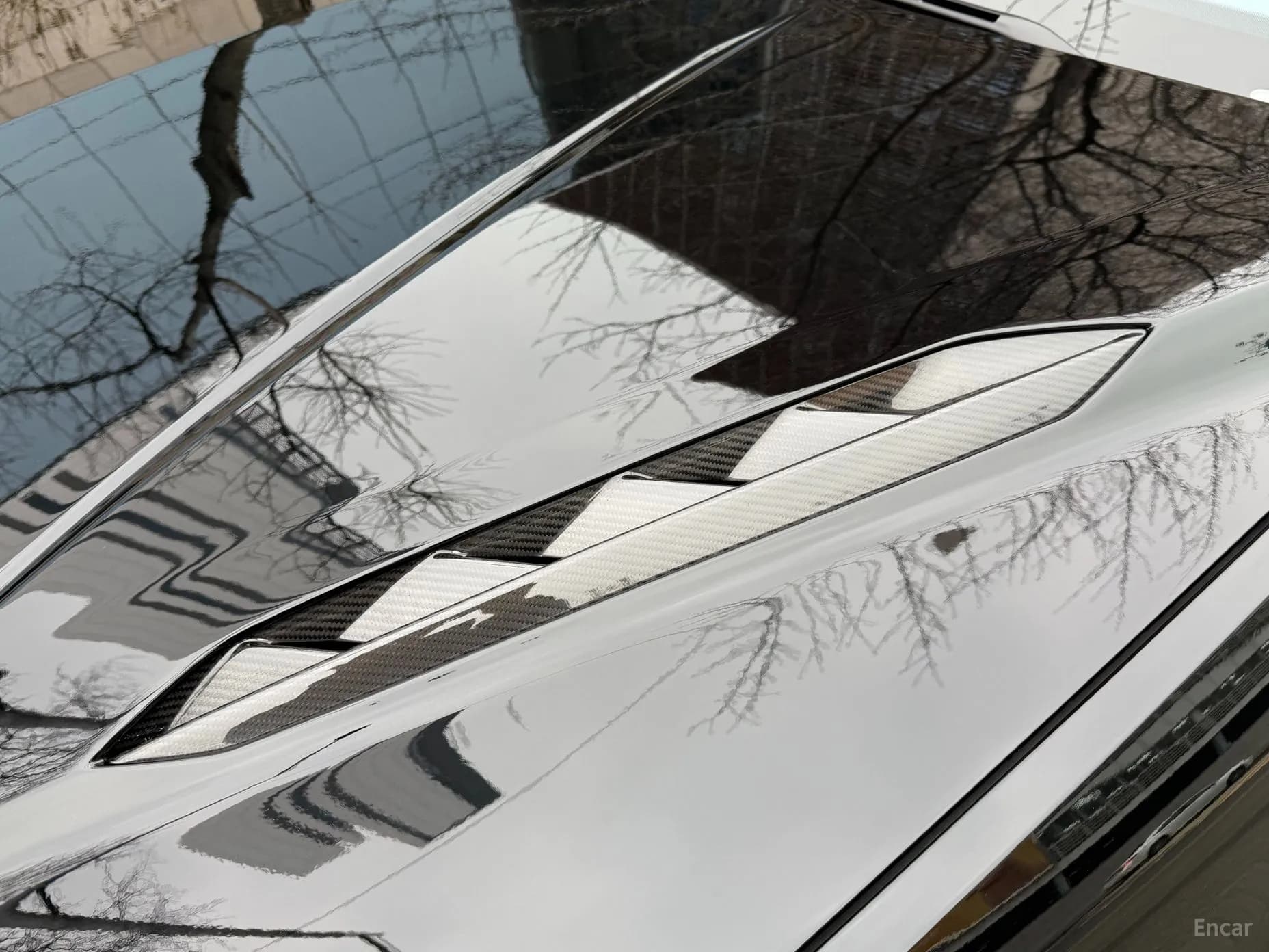 Urus