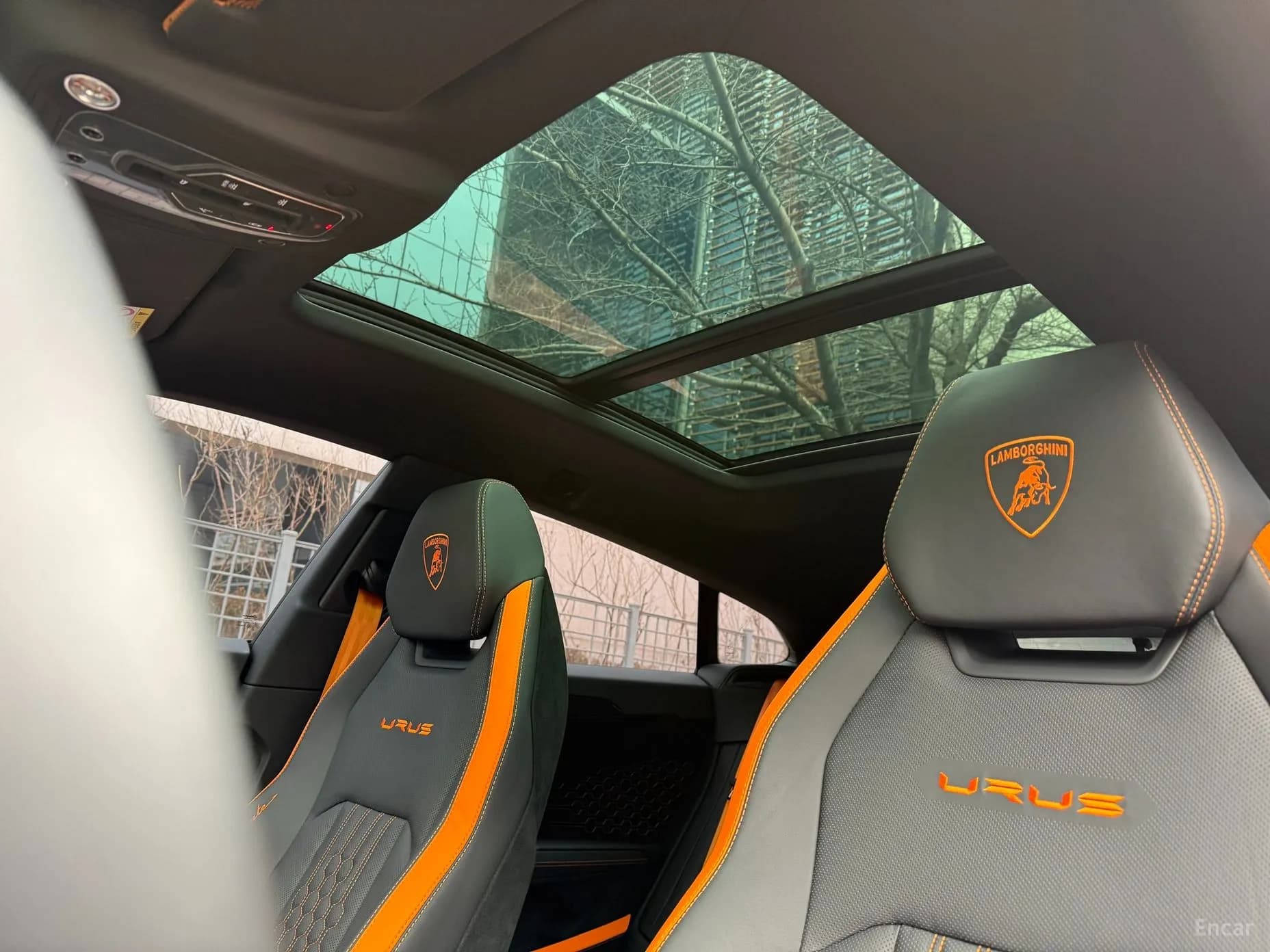 Urus